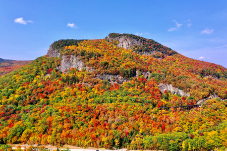 Autumn mountain landscape with colorful forest and blue sky.の写真素材