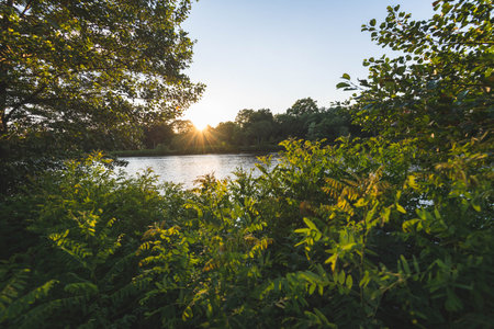 Sunset over a lake with trees and plants in the foreground.の写真素材