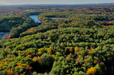 Aerial view of autumn forest and lake. Colorful trees in fall season.