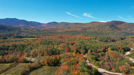 Aerial view of autumn forest in the mountains. Beautiful nature landscape.の写真素材