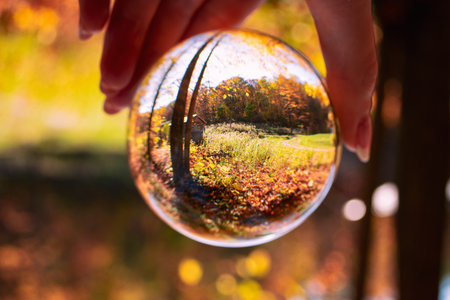 Crystal ball in the hands of a girl against the background of the autumn forest