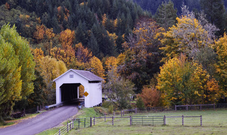Covered Bridge in Autumn, New Hampshire, USA. The Covered Bridge is a historic covered bridge in New...