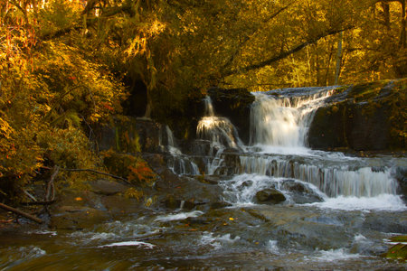 Waterfall in the autumn forest at sunset, closeup of photoの写真素材