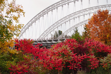 Autumn landscape with colorful trees and bridge in the city park.の写真素材