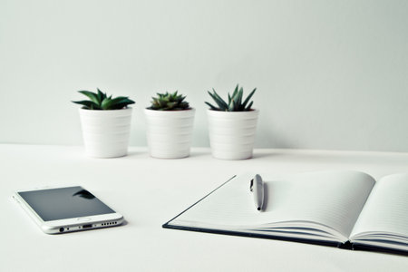 Smartphone, notebook and succulent plant on white table with copy spaceの写真素材