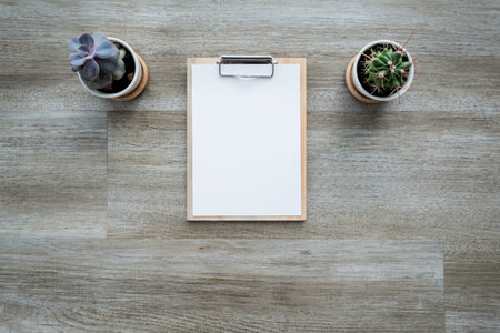 Blank clipboard and cactus on wooden table. Top view with copy space