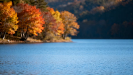 Autumn forest on the shore of the lake. Blurred backgroundの素材