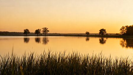 Sunset over a lake with reeds and trees in the foregroundの素材