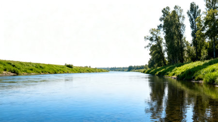 summer landscape of the river and trees on a sunny day.の素材