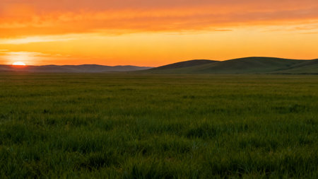 Sunset in the steppe. Kazakhstan. Tien Shan. Assy plateauの素材