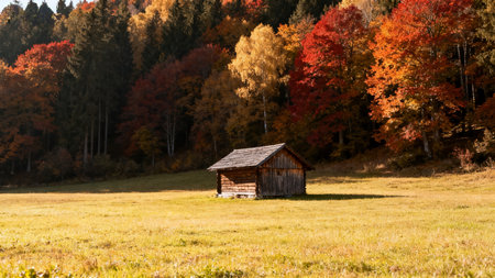 Autumn landscape with colorful forest and an old shed in the foregroundの素材