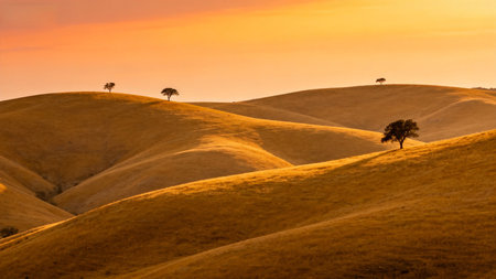 Tuscany, Italy. Silhouettes of trees on the hills.の素材