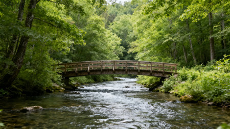 Wooden bridge over a small river in the woods on a summer dayの素材