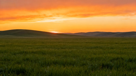 Sunset in the steppe. Landscape of the steppe.の素材