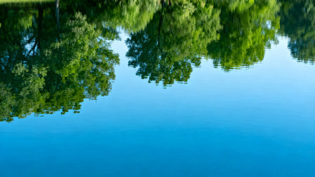 Reflection of trees in calm waterの素材