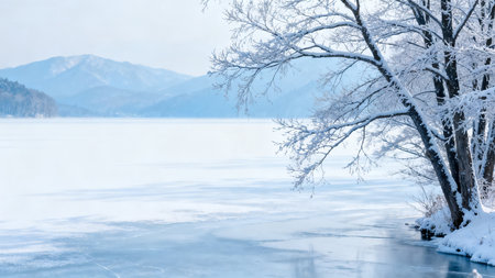Snow covered trees by frozen lakeの素材