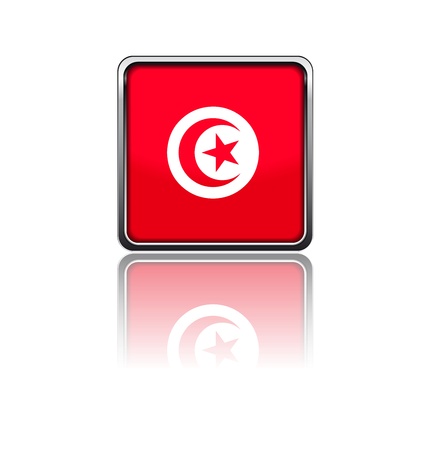 National flag of Tunisiaのイラスト素材