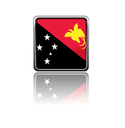 National flag of Papua new guinea in rectangle frame with reflectionのイラスト素材