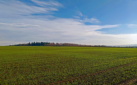 Landscape view on the czech republic moravian nature countryside
