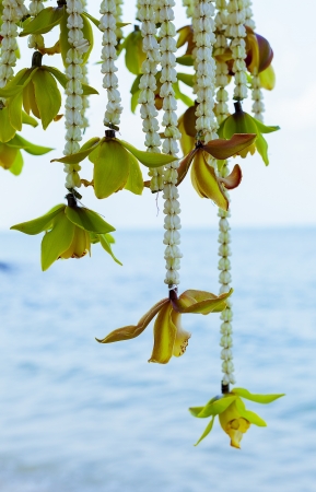 Wedding on the beach  の写真素材