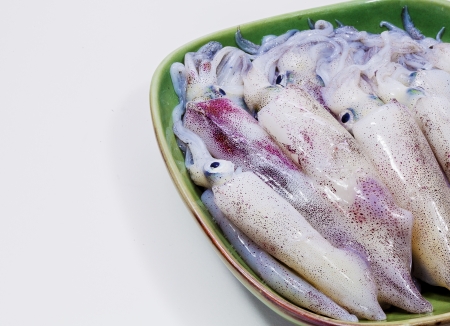 Fresh squid  isolate in white 
