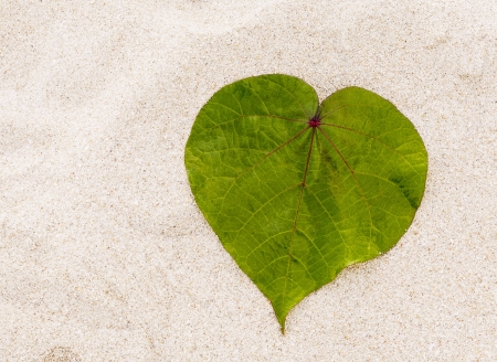 Leaf in shape of the heart on the beach の写真素材
