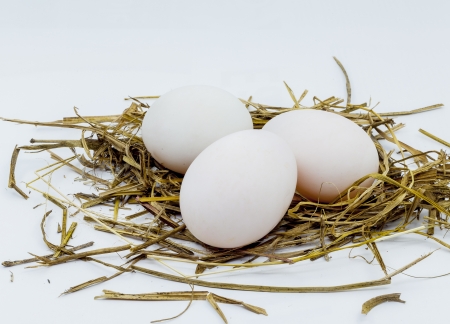 Chicken eggs in the nest of straw の写真素材