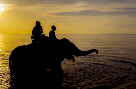 Silhouette couple on the beach.の写真素材
