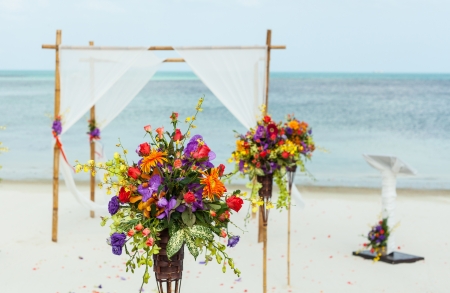 Wedding ceremony on the beach.の写真素材