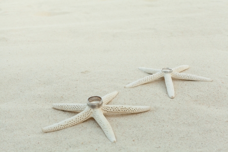 Wedding rings with starfish on a sandy beach.の写真素材