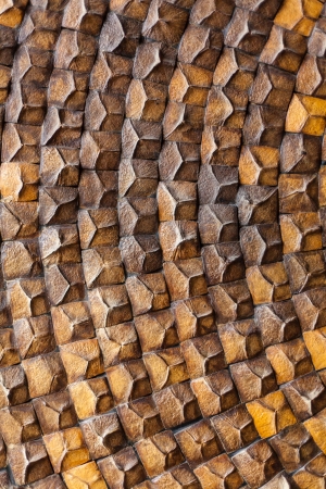 Abstract coconut shell wall texture .の写真素材