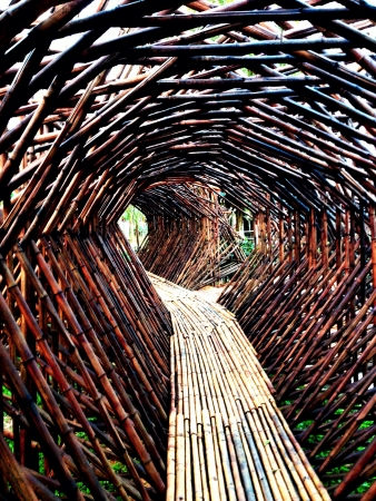 The bamboo tunnelの素材