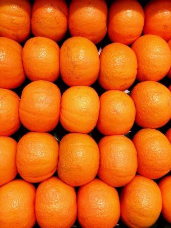 Fresh orangesの素材