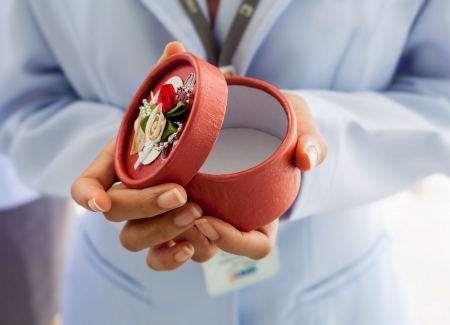 Closeup of Female hands holding gift box.