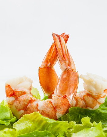 Shrimp Cocktail Isolated on a White Background の写真素材