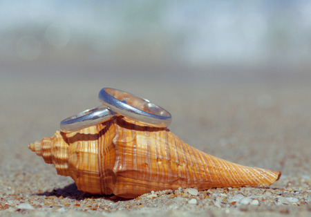 Wedding rings put on the beach side.の写真素材