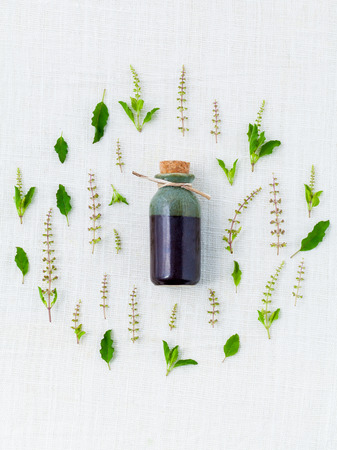 Bottle of essential oil, with holy basil leaf and flower.の写真素材