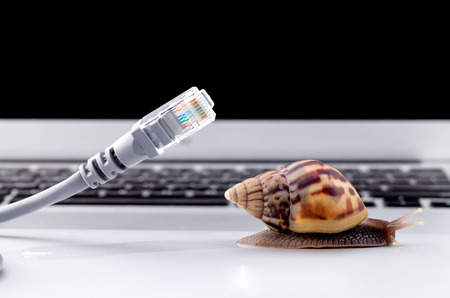 Snail with rj45 connector symbolic photo for slow internet connection. broadband connection is not...