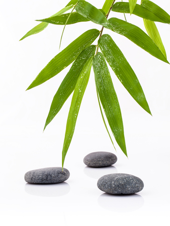 The Stones spa treatment scene and bamboo leaves with raindrop zen like concepts.の写真素材