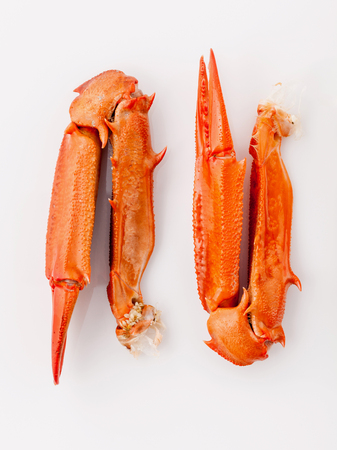 Boiled crab claws isolated on white background for crabs and seafood menu.の写真素材