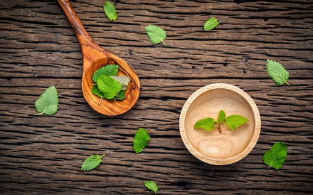 Fresh lemon balm ( Melissa tincture) leaves in spoon and wooden bowl setup with flat lay on shabby wooden table. の写真素材