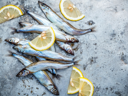 Fresh catch Shishamo fish fully eggs flat lay on shabby metal background. Shishamo fish is popular fish for Japanese cuisine cooking Tempura. Fresh Shishamo fish tempts buyers at fresh seafood stall.の写真素材