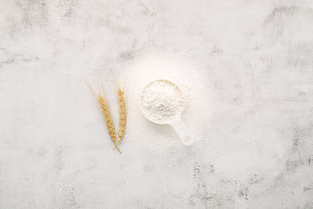 The ingredients for homemade pizza dough with wheat ears ,wheat flour and wheat grains set up on white concrete background.の写真素材
