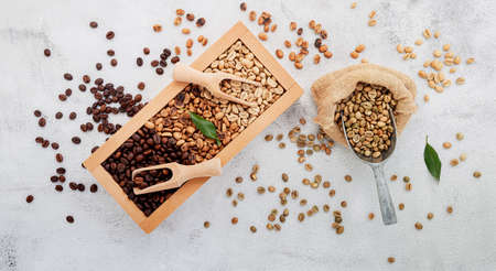 Green and brown decaf unroasted and dark roasted coffee beans in wooden box with scoops setup on white concrete background.の写真素材