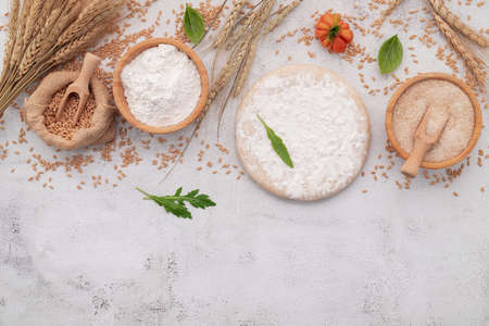 The ingredients for homemade pizza dough with wheat ears ,wheat flour and wheat grains set up on white concrete background.の写真素材