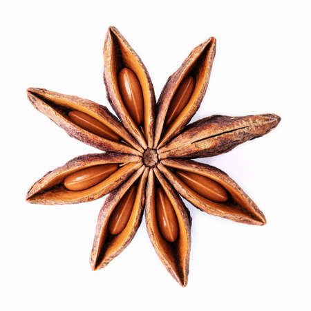 Single Chinese star anise isolated on white background.の写真素材