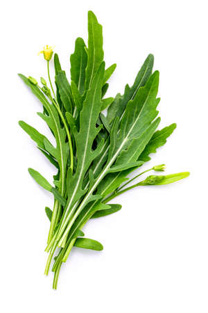 Arugula leaves isolated on white background. Closeup fresh wild rocket leaves on white background top view.の写真素材