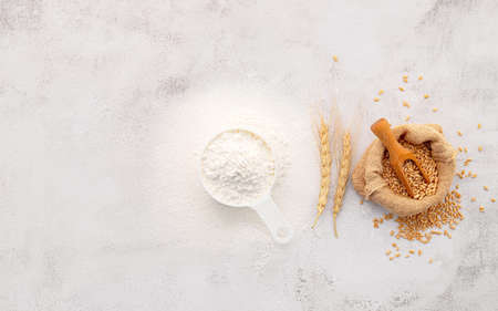 The ingredients for homemade pizza dough with wheat ears ,wheat flour and olive oil set up on white concrete background. top view and copy space.の写真素材