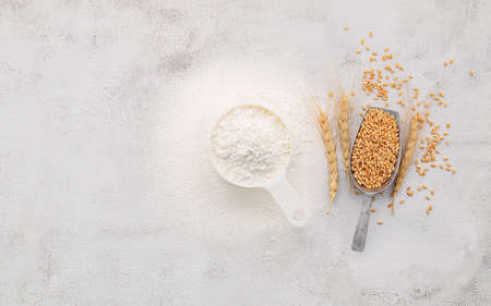 The ingredients for homemade pizza dough with wheat ears ,wheat flour and olive oil set up on white concrete background. top view and copy space.の写真素材