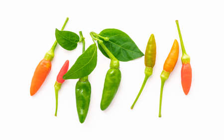 Fresh Thai bird's eye chillies isolated on white background.の写真素材